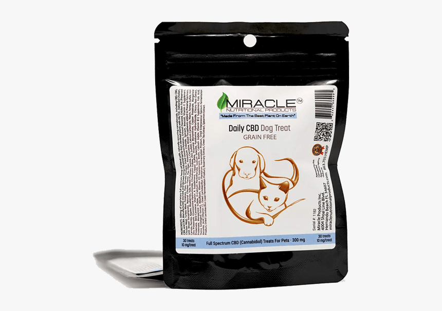 Otter, HD Png Download