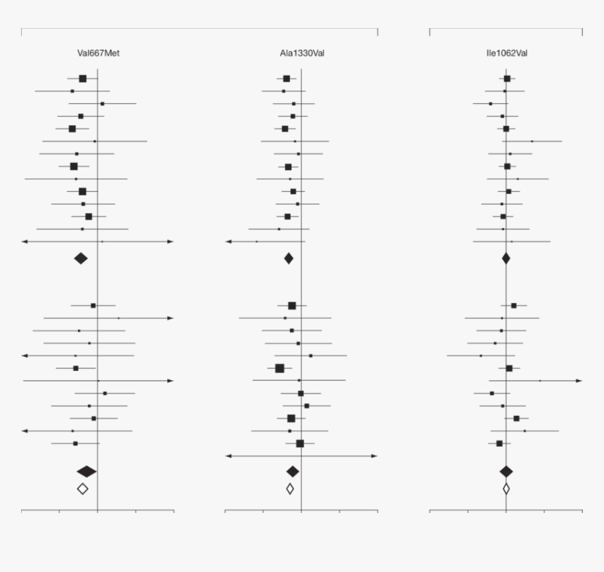 Sheet Music, HD Png Download