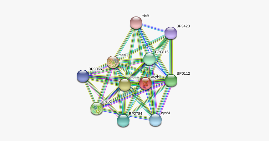 Acyh Protein - Circle, HD Png Download
