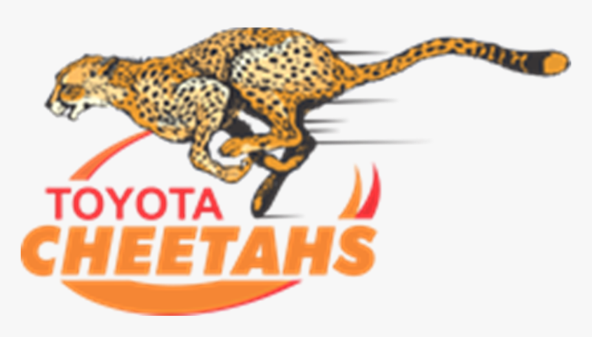 Cheetahs Rugby Logo, HD Png Download