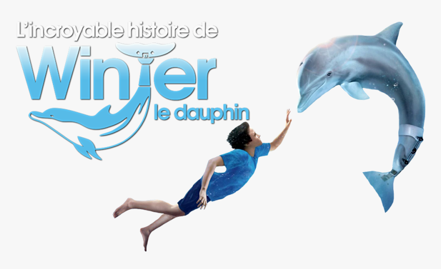 Dolphin Tale Dvd Menu, HD Png Download