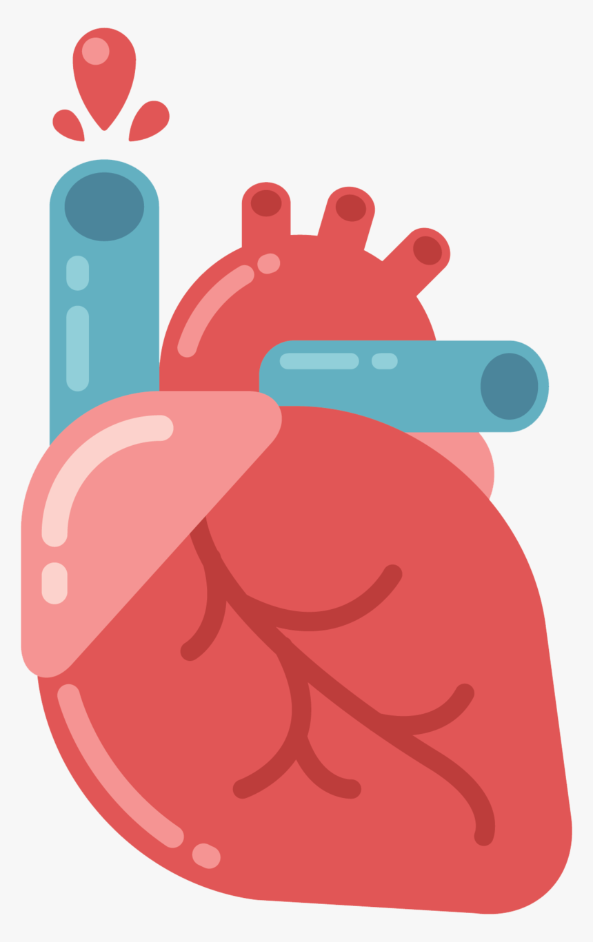 Murmur Clipart Clip Black And White Download Download - Physiology Clipart, HD Png Download