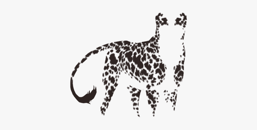Cheetah, HD Png Download