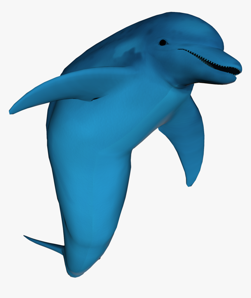 Stock Photo Dolphin, HD Png Download
