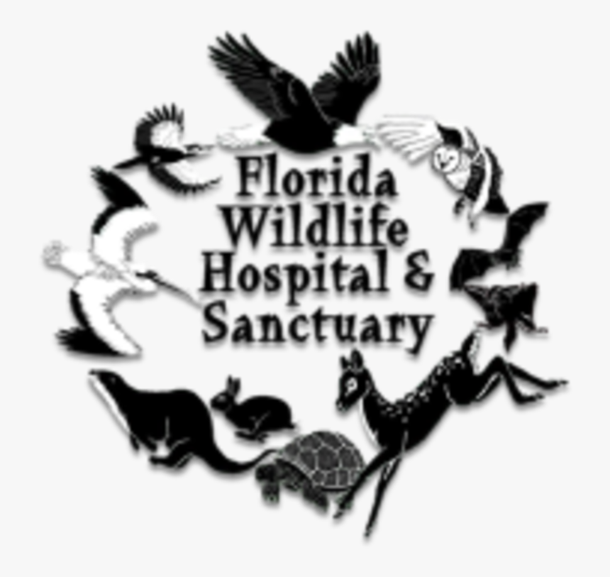 Running Wild 5k - Florida Wildlife Sanctuary, HD Png Download