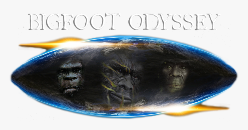 Bigfoot Odyssey - Mountain Gorilla, HD Png Download