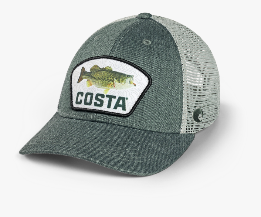 Large Mouth Bass Png, Transparent Png