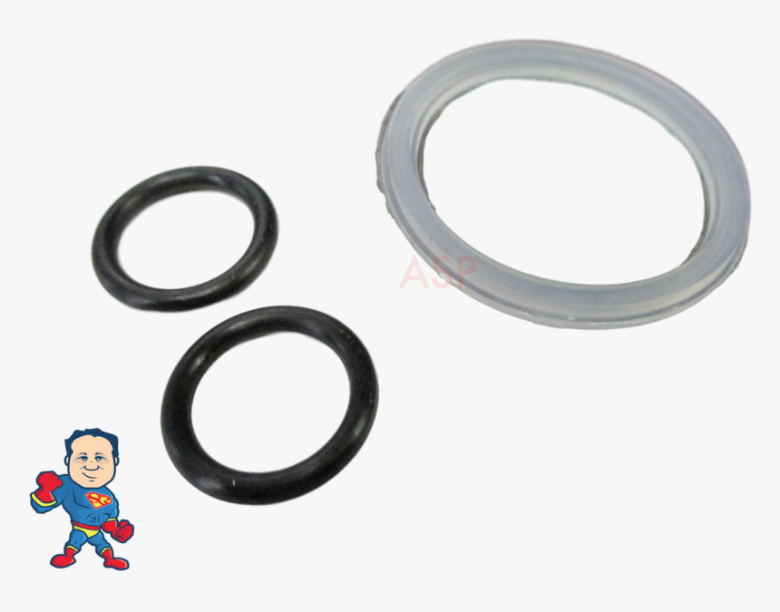 Circle, HD Png Download