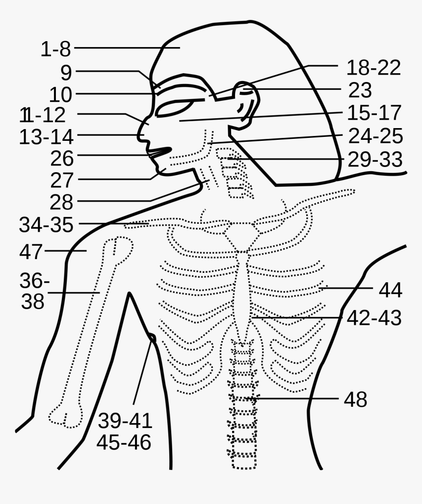 Papyrus Edwin, HD Png Download