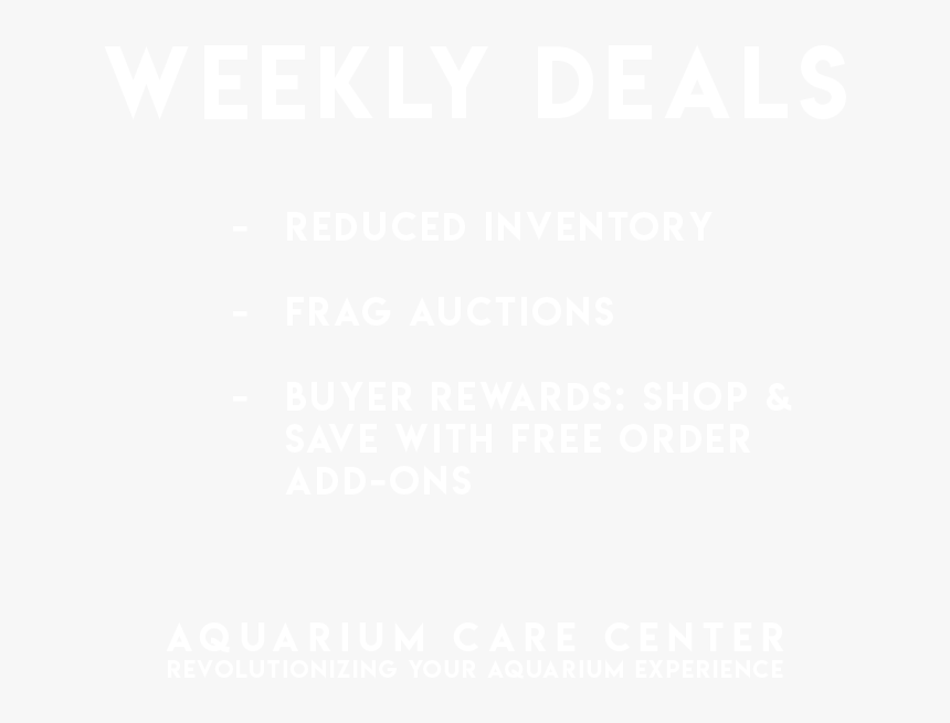 Direkt Optik, HD Png Download