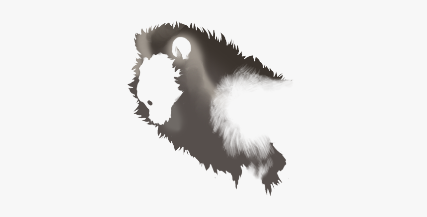 Felidae, HD Png Download