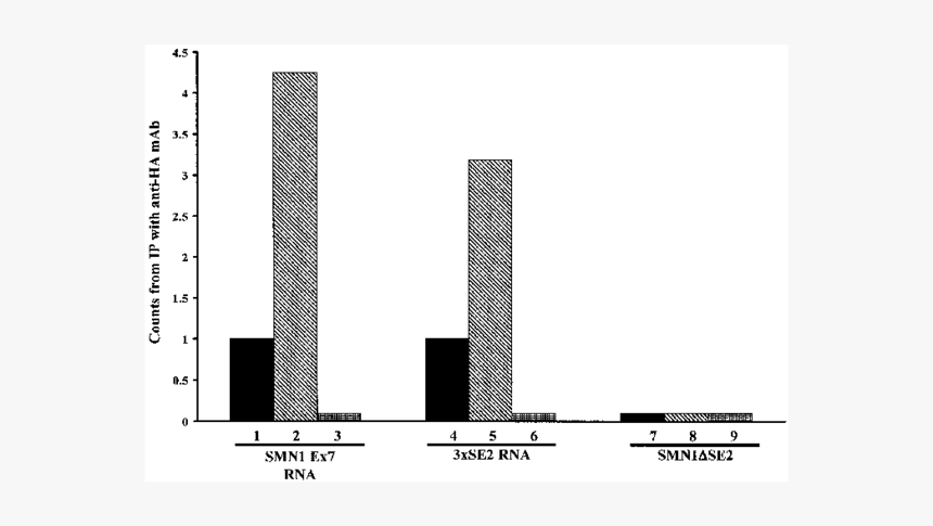 Architecture, HD Png Download