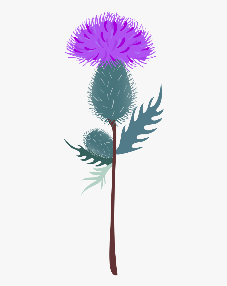 Illustration, HD Png Download