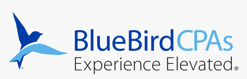 Experience Elevated - Adi Media, HD Png Download