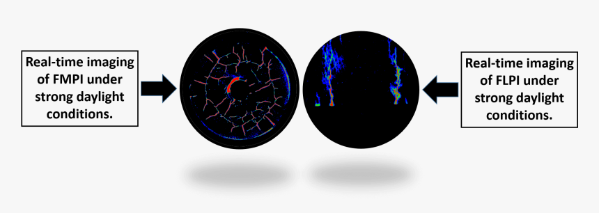 Circle, HD Png Download