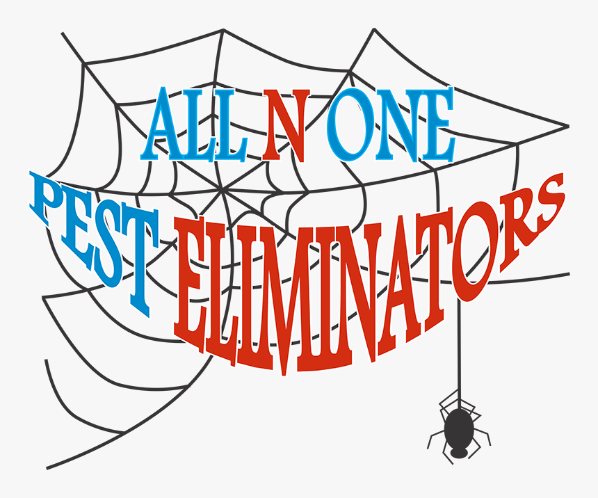 All N One Pest Eliminators Logo - Graphic Design, HD Png Download