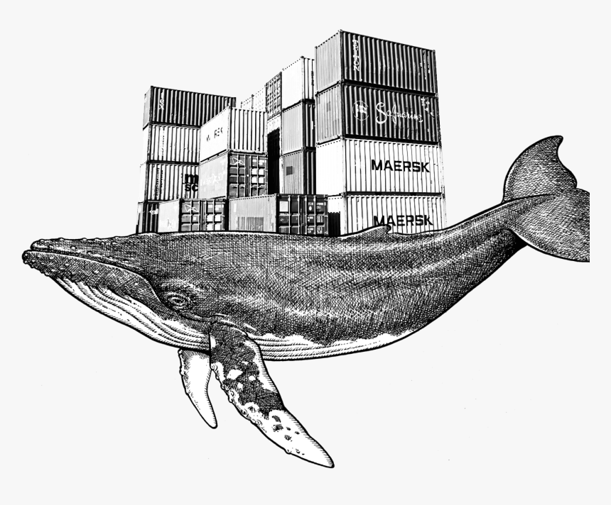 Sketch, HD Png Download