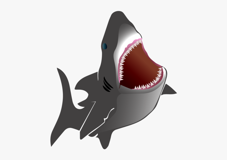 Posted Image - Shark, HD Png Download