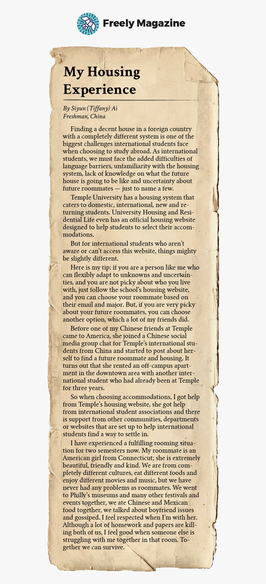 Document, HD Png Download