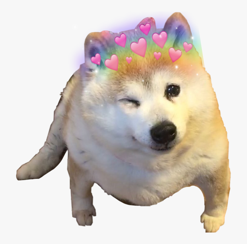#shibe #shiba #shibainu #cute #heart #heartcrown #winkwonk - Bow Chicka Wow Wow Dog, HD Png Download