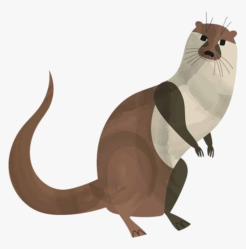 Otter, HD Png Download
