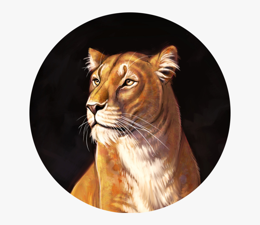 Pipabraham Artistphoto Large, HD Png Download