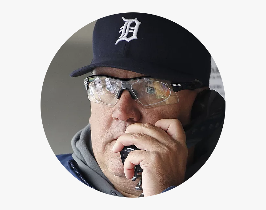 Tigers, HD Png Download