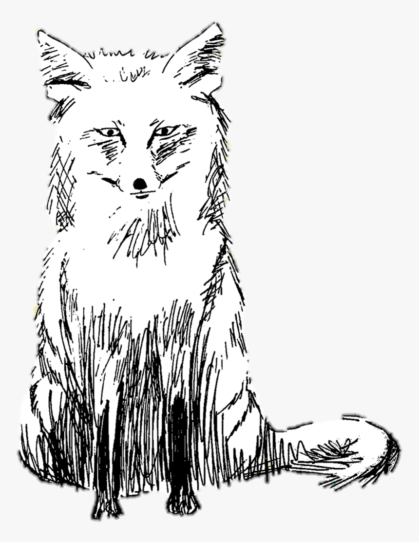 Diary Of Bones - Line Art, HD Png Download