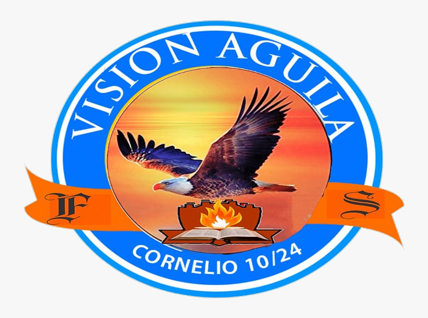 Hawk, HD Png Download