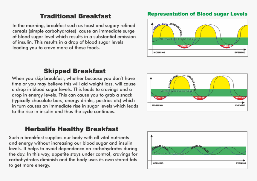 Healthy Breakfast Plan Herbalife, HD Png Download