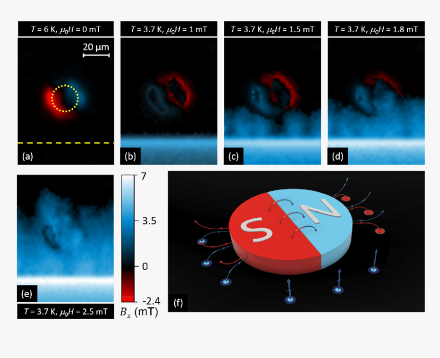 Screenshot, HD Png Download