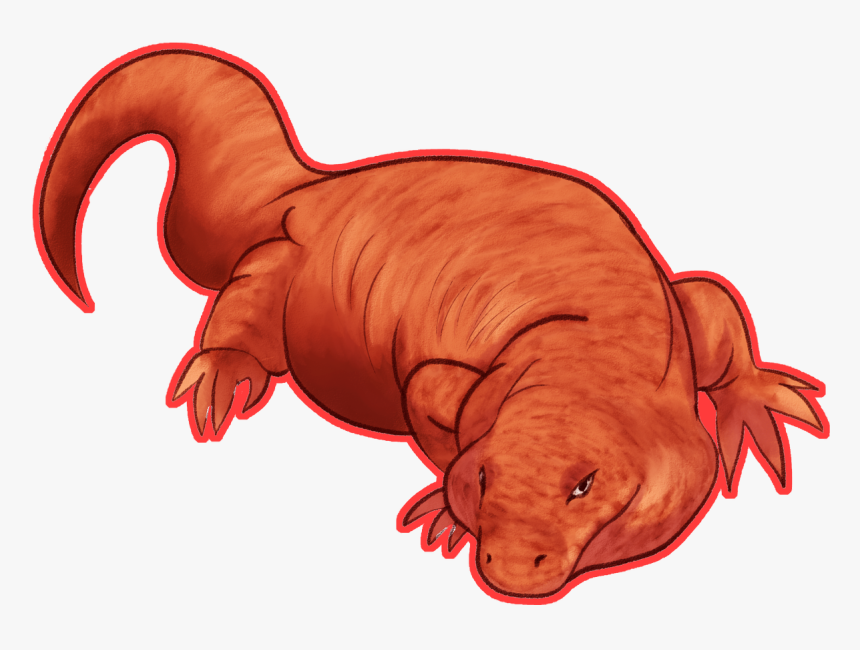 We Rate Lizards On Twitter Png Transparent Lizards - Reptile, Png Download