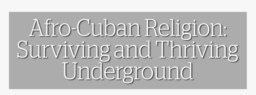 Surviving And Thriving Underground - Architecture, HD Png Download
