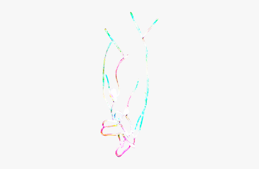 Light, HD Png Download
