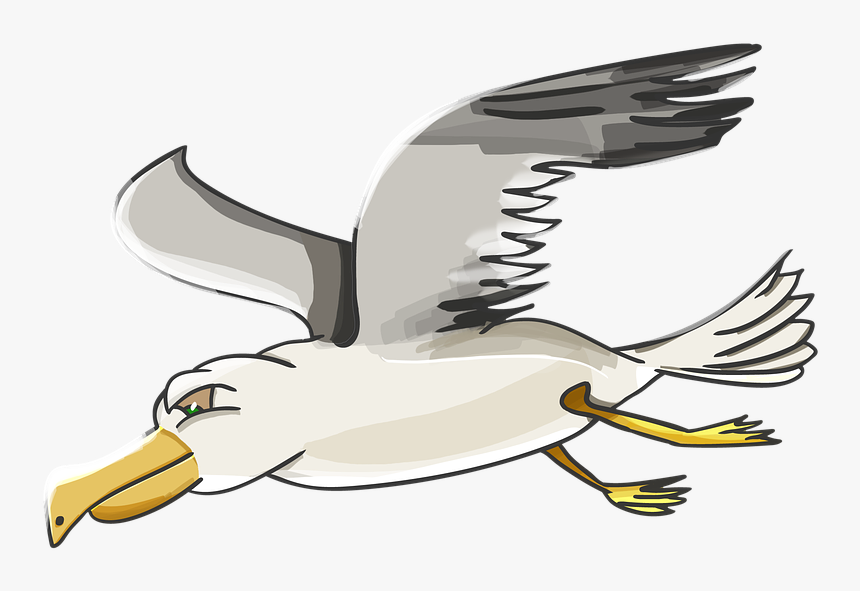 Cartoon Seagull, HD Png Download