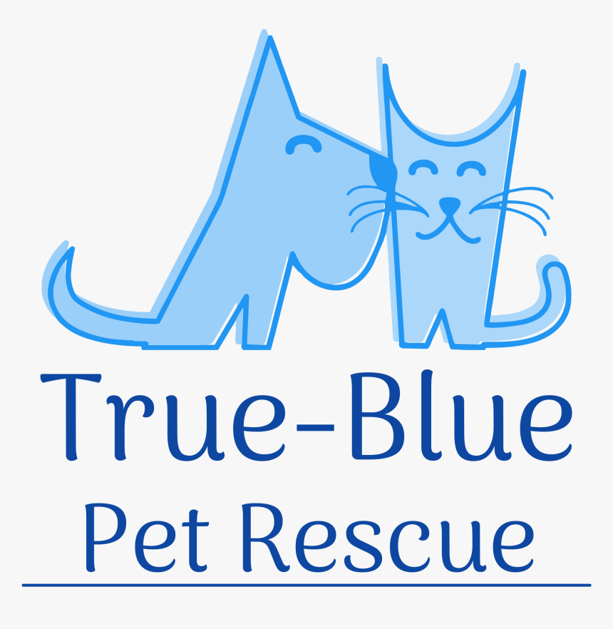 Profile Image, HD Png Download