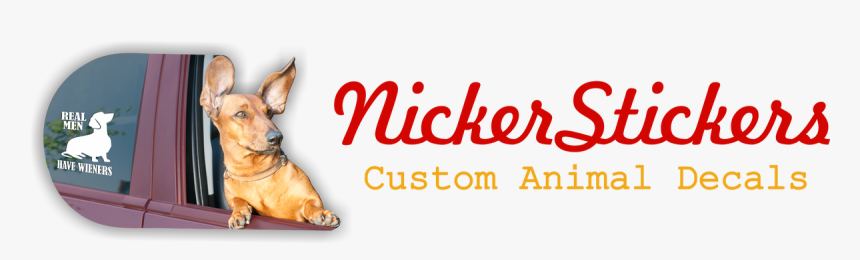 Conch, HD Png Download