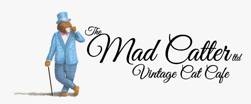 Beauty, HD Png Download