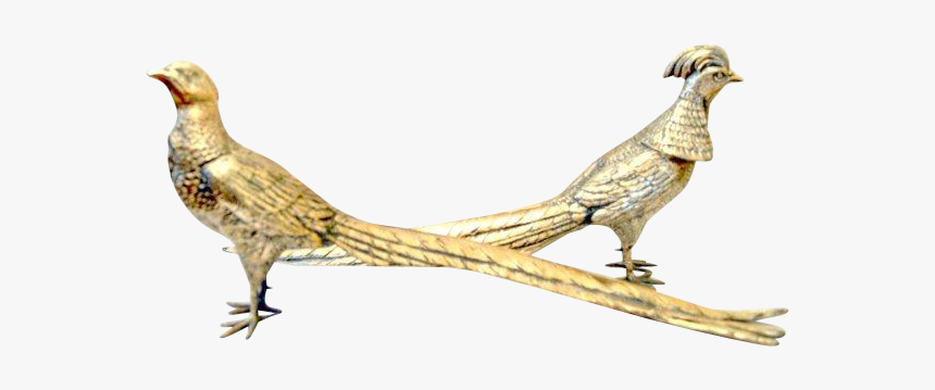 Peafowl, HD Png Download