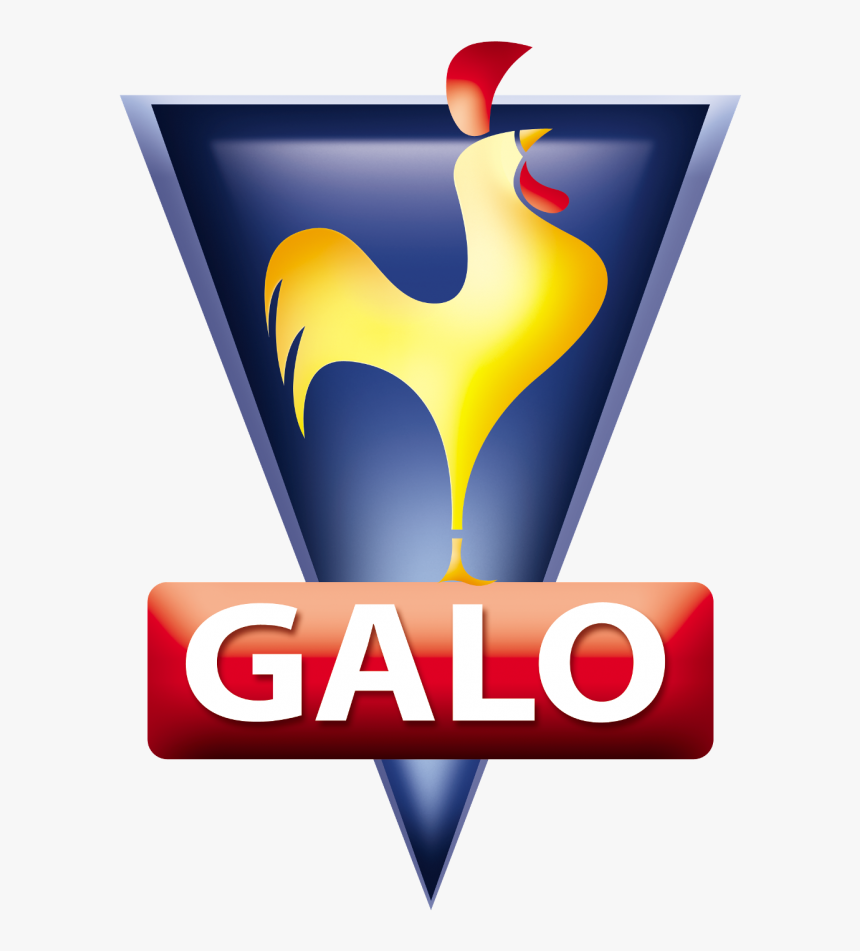 Pastas Galo Se Convierte En La Predilecta De Todos - Macarrão Galo, HD Png Download