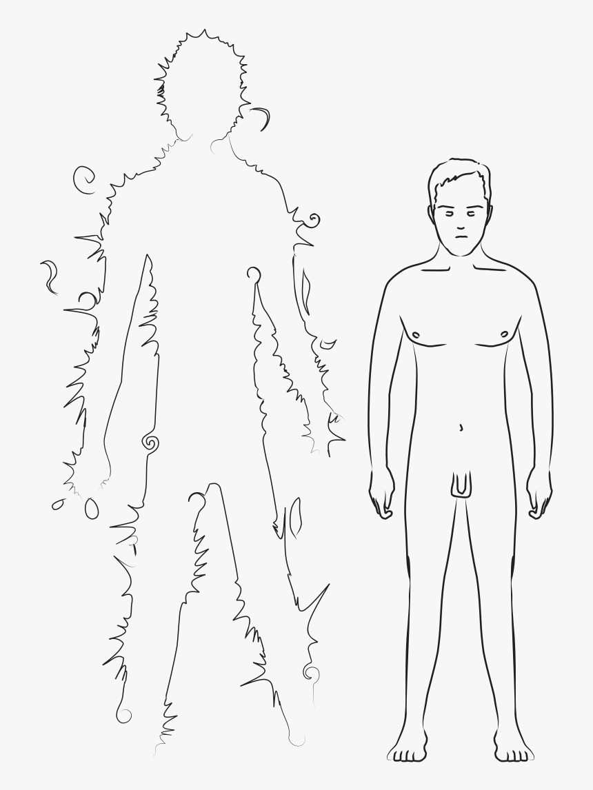 Sketch, HD Png Download