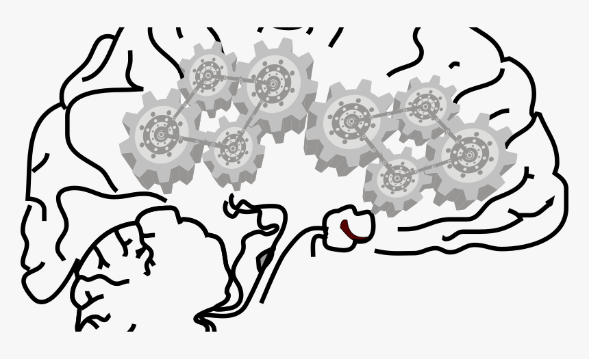 Brain, HD Png Download