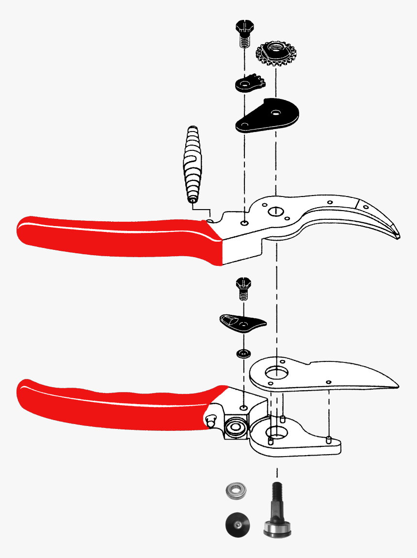 Illustration, HD Png Download