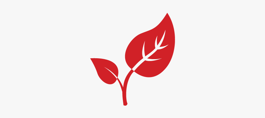 Natural Leaf Logo, HD Png Download