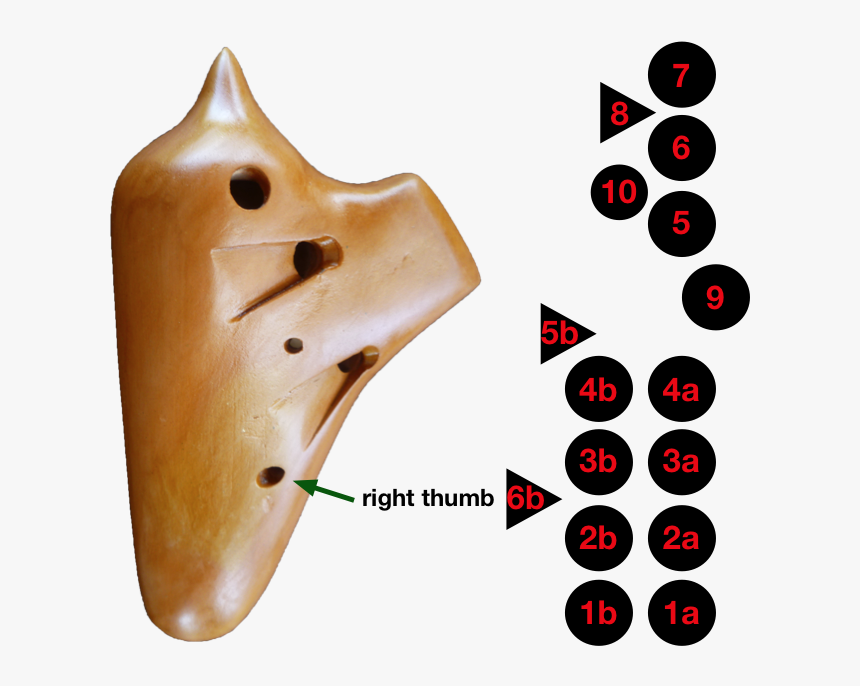 Triple Chamber Ocarina Fingering, HD Png Download
