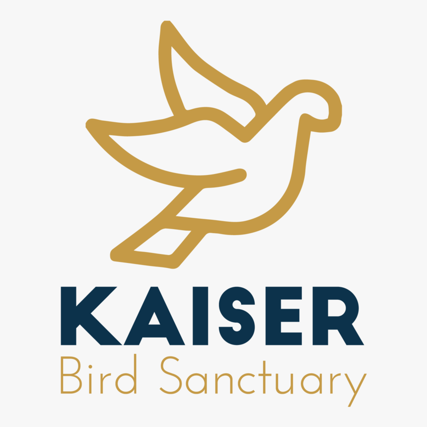 Proposal Logo 01 - Graphic Design, HD Png Download