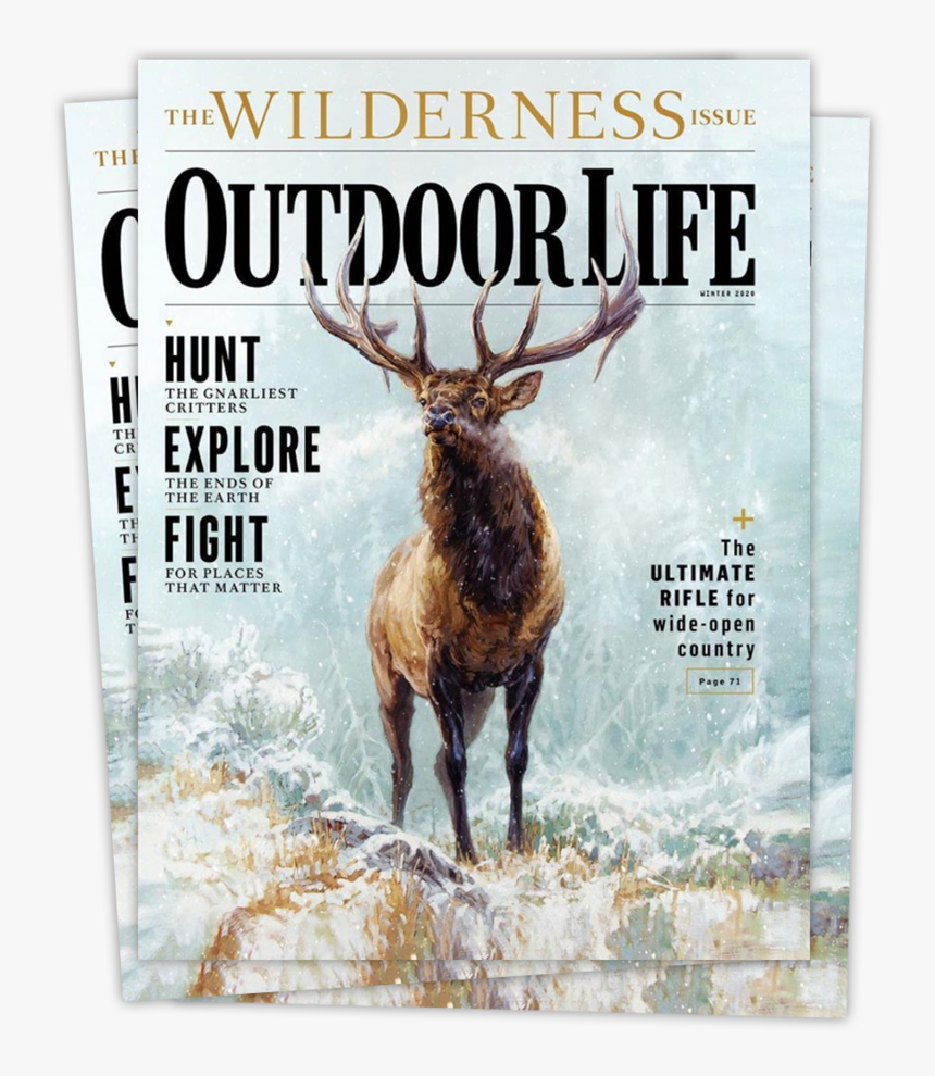 Ryan Kirby Elk In Snow Outdoor Life 2020, HD Png Download