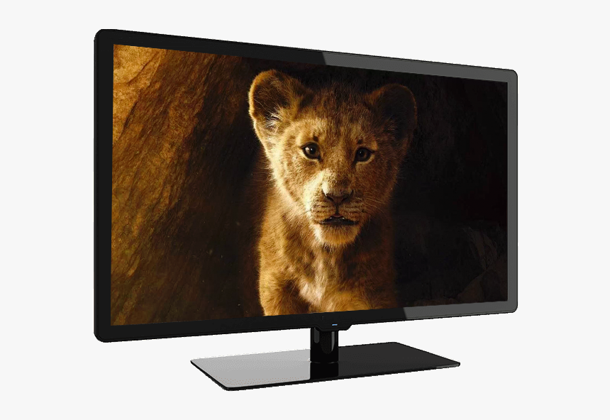 Latest Animated Movies 2019, HD Png Download