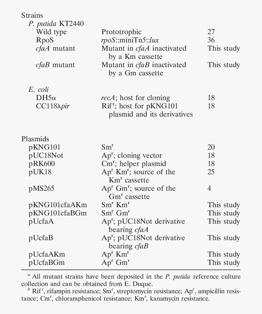 Screenshot, HD Png Download