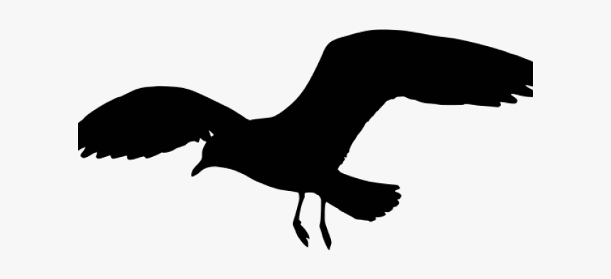 Sea Gull Silhouette, HD Png Download